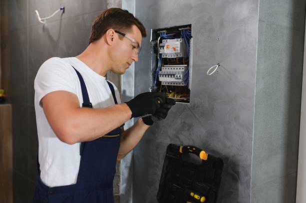 Best Electric Panel Repair  in Osawatomie, KS